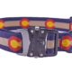 Top Colorado dog collar